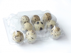 Wachteleierschachtel PET  fr 12 Eier