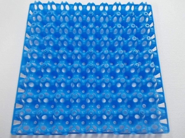 Abbildung Wachteleier Tray für 72 Eier aus Kunststoff in blau