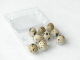 Abbildung einer Wachteleierschachtel PET  für 12 Eier