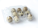 Wachteleierschachtel PET für 12 Eier 840 Stück